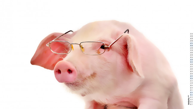 Обои картинки фото календари, компьютерный дизайн, поросенок, свинья, очки