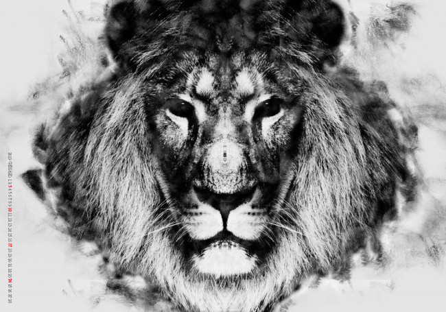 Обои картинки фото календари, компьютерный дизайн, морда, грива, взгляд, лев