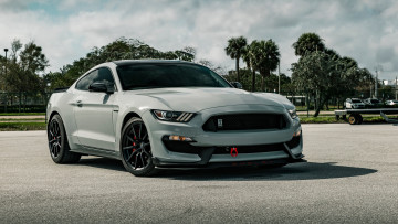 Картинка автомобили mustang ford shelby gt350