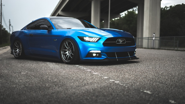 Обои картинки фото автомобили, mustang, ford