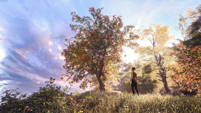 Обои картинки фото видео игры, a plague tale,  innocence, яблоня, amicia, de, rune, a, plague, tale, innocence