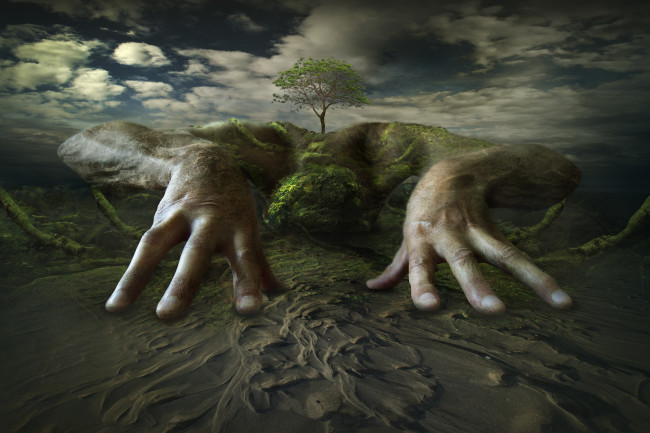 Обои картинки фото разное, компьютерный дизайн, дерево, пальцы, руки, песок