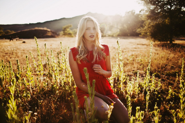 Обои картинки фото девушки, - блондинки,  светловолосые, блондинка, платье, луг