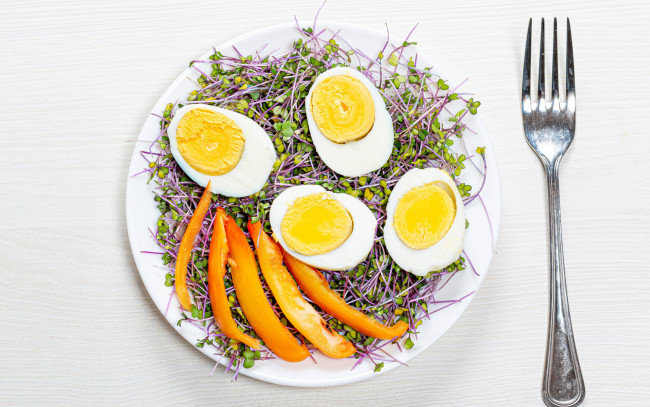 Обои картинки фото еда, яичные блюда, отварные, яйца, проростки, перец