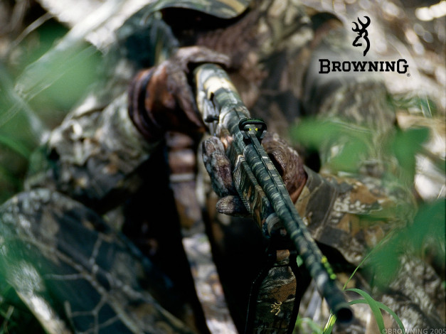 Обои картинки фото оружие