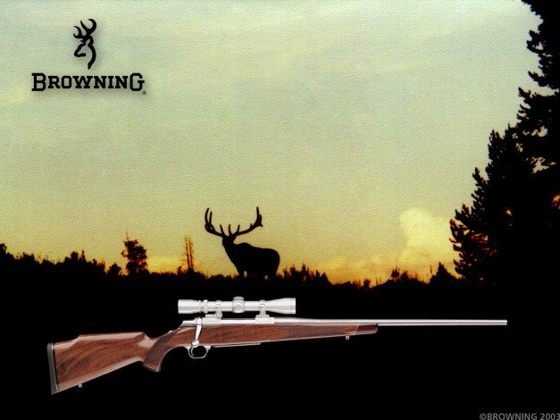 Обои картинки фото оружие, винтовки, прицеломприцелы