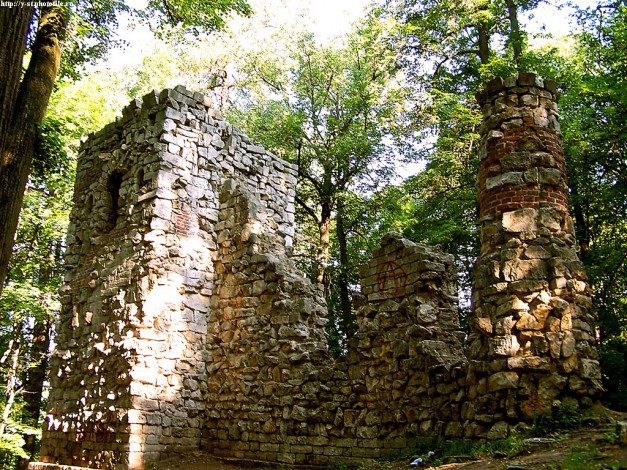 Обои картинки фото 