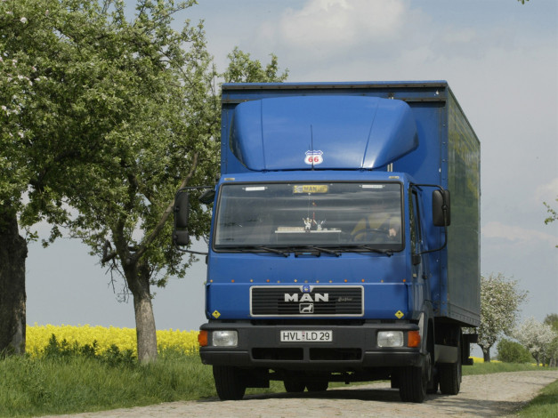 Обои картинки фото автомобили, man