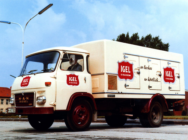 Обои картинки фото автомобили, man