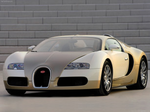 Картинка bugatti veyron 2009 автомобили
