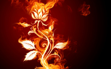 Картинка 3д графика flowers цветы