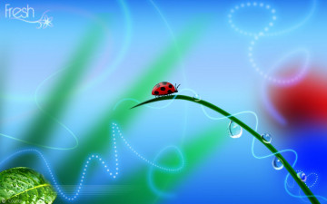 Картинка разное компьютерный дизайн