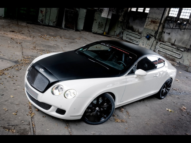 Обои картинки фото 2009, edo, competition, bentley, speed, gt, автомобили