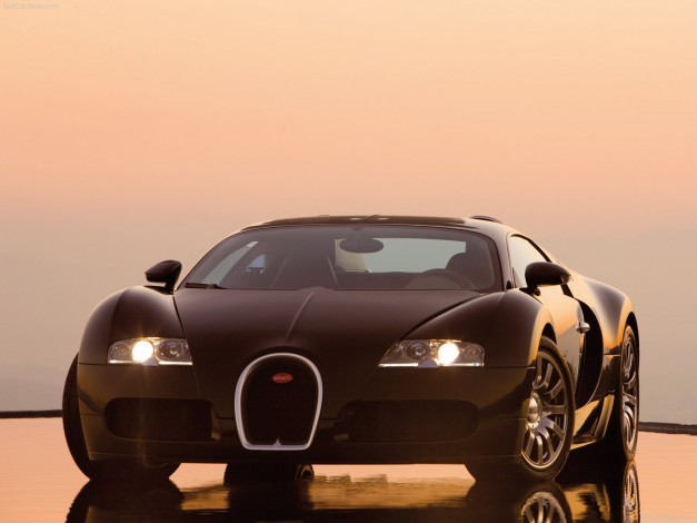 Обои картинки фото bugatti, veyron, 2009, автомобили