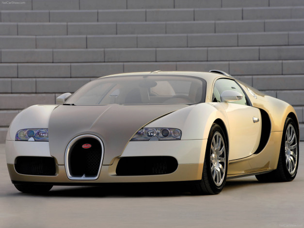 Обои картинки фото bugatti, veyron, 2009, автомобили