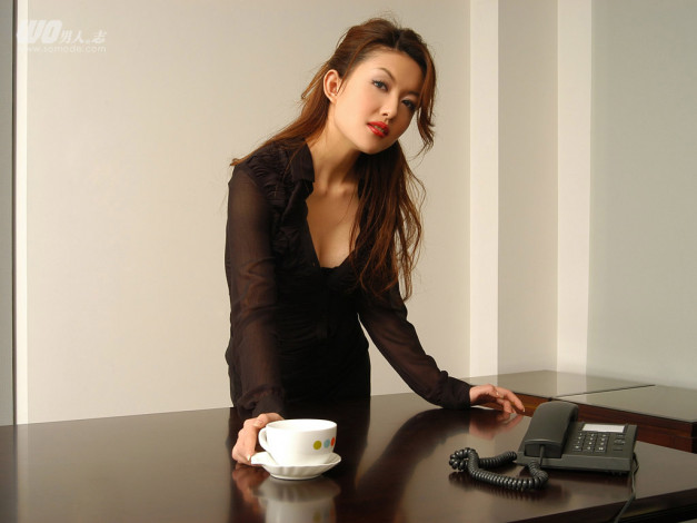 Обои картинки фото wo, бренды