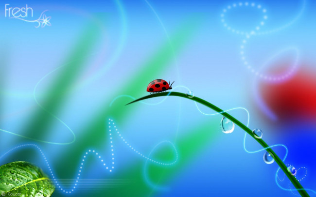 Обои картинки фото разное, компьютерный, дизайн