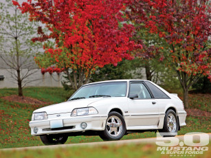 Картинка автомобили mustang