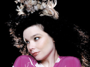 обоя bj&, 246, rk, музыка, bjork