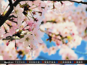 Картинка календари цветы