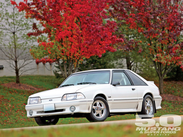 Обои картинки фото автомобили, mustang