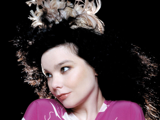 Обои картинки фото bj&, 246, rk, музыка, bjork