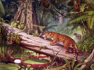 Картинка рисованные животные