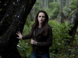 Картинка the twilight кино фильмы