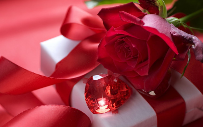 Обои картинки фото цветы, розы