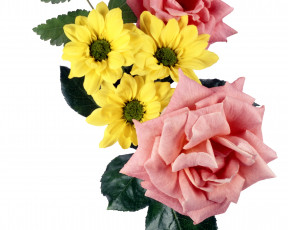 Картинка цветы разные вместе фон