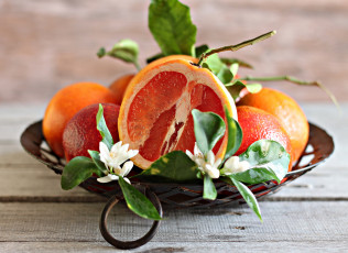 Картинка еда цитрусы дольки цветы