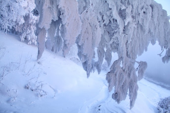 Картинка природа зима снег