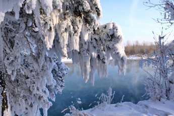 Картинка природа зима снег