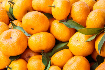 Картинка еда цитрусы мандарины