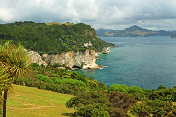 Картинка waikato+river+новая+зеландия природа побережье waikato река трава