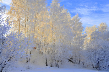 Картинка природа зима снег