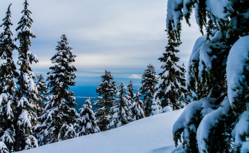 Картинка природа зима горы лес снег