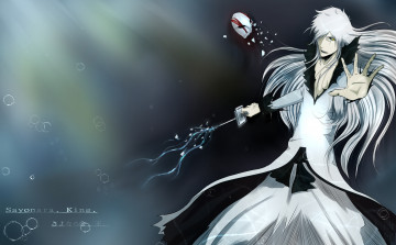 Картинка аниме bleach банкай белый занпакто пустой ичиго блич пузырьки маска
