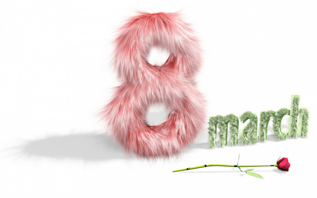 Обои картинки фото праздничные, международный женский день - 8 марта, роза, международный, женский, день, пушистое, 8, марта