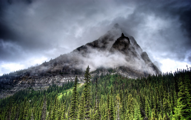 Обои картинки фото природа, горы, гора, лес