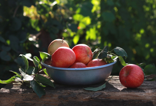 Обои картинки фото еда, Яблоки, плоды, миска