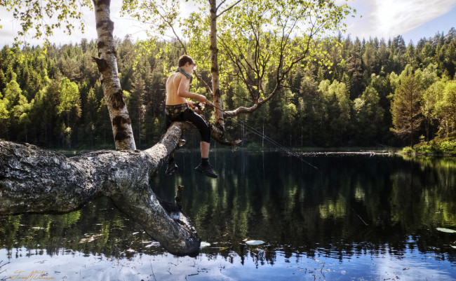 Обои картинки фото разное, рыбалка,  рыбаки,  улов,  снасти, солнечно, ели, лес, озеро, дерево, удочка, рыбак