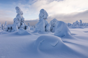 Картинка природа зима лес снег