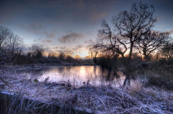 Картинка природа зима лес снег