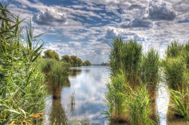 Обои картинки фото природа, реки, озера, река, камыш