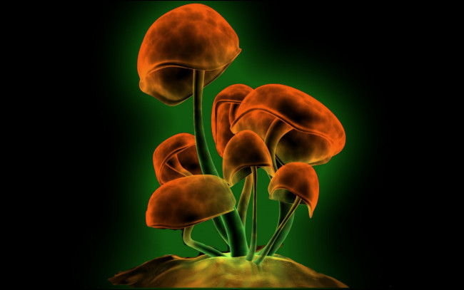 Обои картинки фото 3д графика, праздники , holidays, грибы