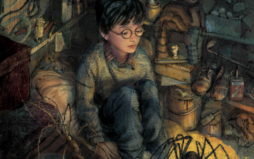 Картинка рисованное кино +мультфильмы гарри поттер ребенок чулан пауки