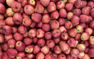 Картинка еда яблоки урожай много