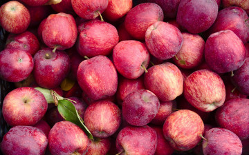 Картинка еда яблоки урожай много