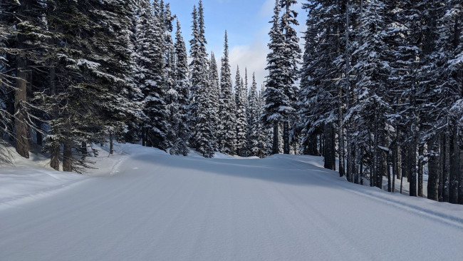 Обои картинки фото природа, зима, снег, сугробы